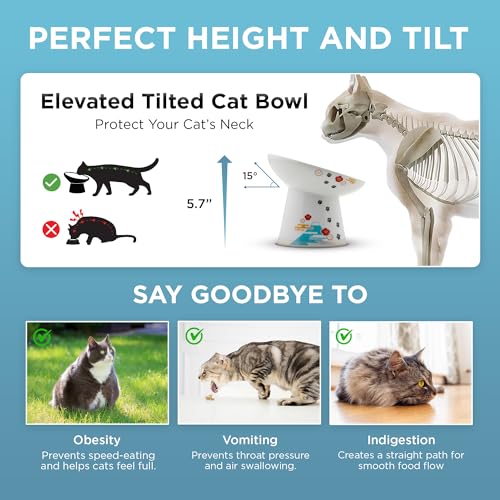 Necoichi Ceramic Raised Cat Food Bowl (Fuji / Large Extra Wide Tilted)