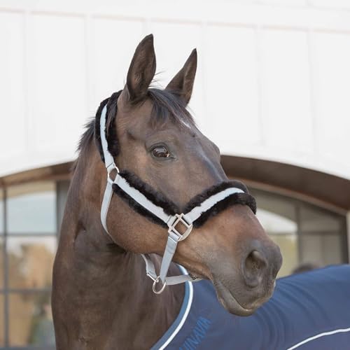 Valkyrie Ultra Fleece Padded Leather Fuse Breakaway Horse Halter (Slate Grey/Black / Horse)