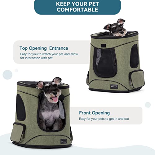 Dog and Cat Backpack Carrier (AGreen)