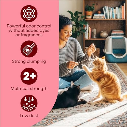 Advanced Simply Unscented Multi Cat Clumping Litter (New! Advanced Unscented / 18.5 lb (Pack of 2))