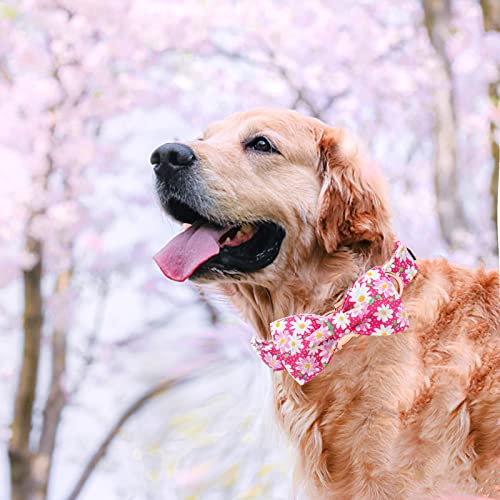 Dog Collar Floral Pattern Pet Collars with Bow Girl (Sunflower / X-Large (Pack of 1))