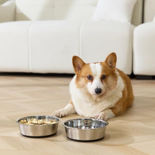 Dog Bowls Food Grade Stainless Steel for Food and Water (Black / 3 Cup)