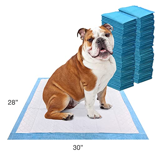Wee Wee Odor Control with Febreze Freshness Pee Pads for Dogs & Puppies (100 Count)
