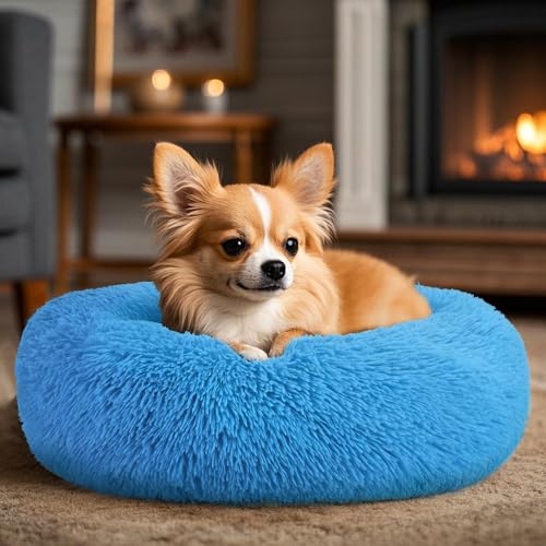 Dogs Bed for Small Dogs (Light Blue / 24.0"L x 24.0"W x 8.0"Th)