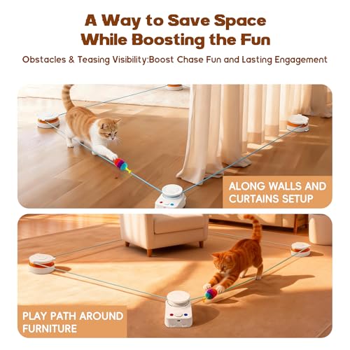 Interactive Cat Toy for Indoor Cat (H1K3)