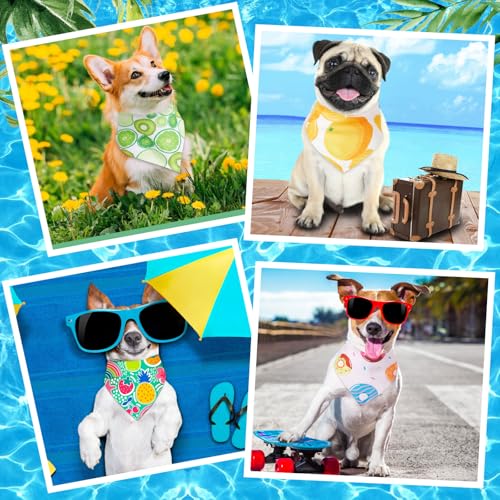 72 Pack Summer Bandanas