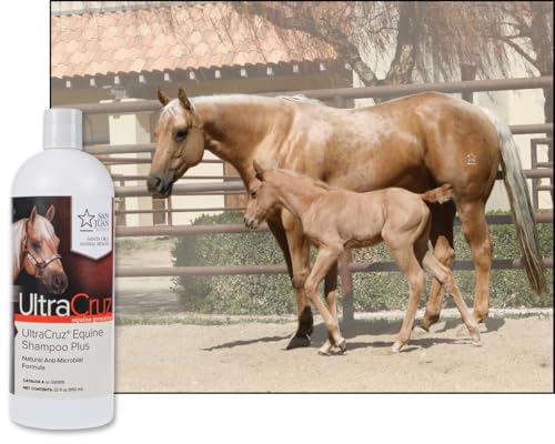 Equine Shampoo Plus for Horses