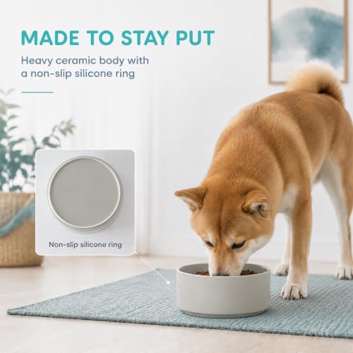Ceramic Dog Bowls (Matte Gray)