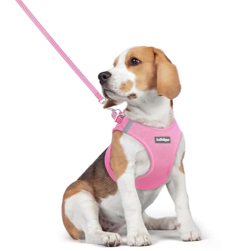Dog Harness Medium Sized and Leash Set (Light Pink / L (chest: 18.2 - 20.5"))