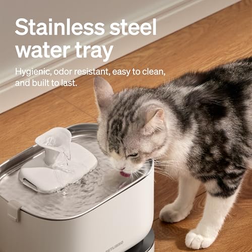 Cat Water Fountain (White / Cordless Fountain)