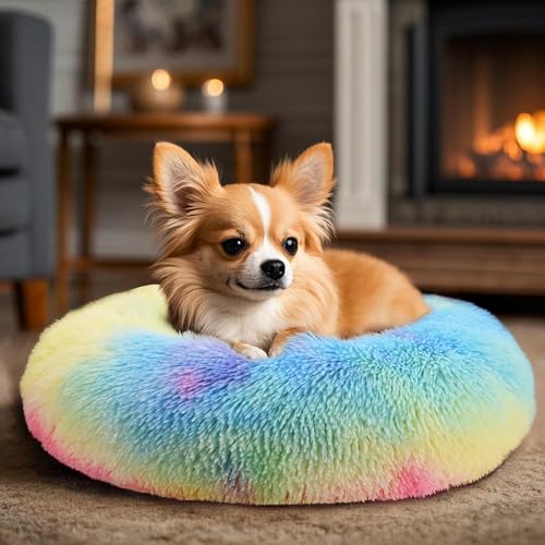 Dogs Bed for Small Dogs (Rainbow / 24.0"L x 24.0"W x 8.0"Th)