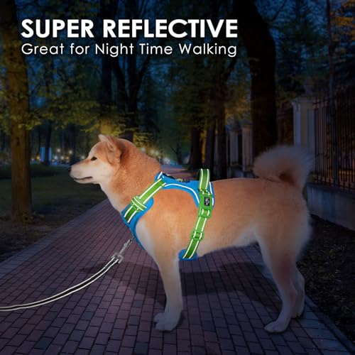 No Pull Dog Harness (Blue Base & Green Straps / Extra Large)