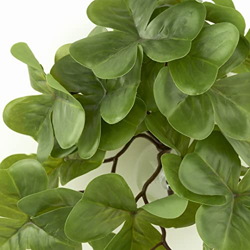 Fake Shamrock (Fake Shamrock)