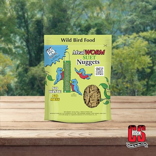 Berry Flavor Suet Nuggets (1.69 Pound (Pack of 1))