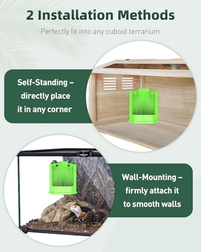 Bearded Dragon Feeder (Corner Mounted Feeding Dish / Small)
