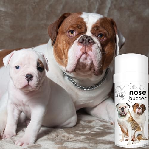 American Bulldog Nose Butter (American Bulldog / 2.25 Ounce)