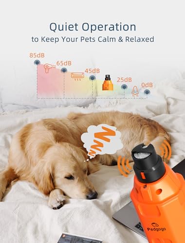6 Speed Dog Nail Grinder& 3 Grinding Heads with 2 LED Lights