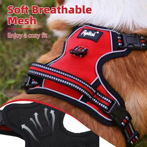 No Pull Dog Harness Medium Sized (Red / Medium)
