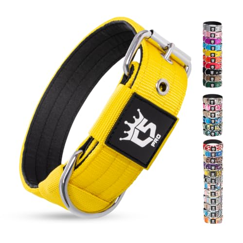 Heavy Duty Thick Dog Collar with Metal Buckle for Small Dogs (S – Fits Neck 12.6"-15.8" / Basic Yellow)