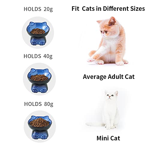 Elevated Cat Bowls (4.5 OZ+8 OZ / Blue & Black)