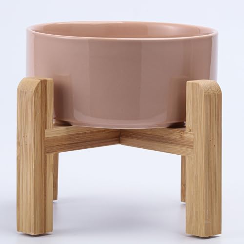 Khaki Elevated (Khaki / 1.7 Cups - Small)