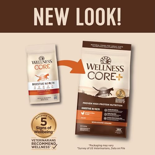 CORE+ Adult Dry Cat Food (11 Pound (Pack of 1))