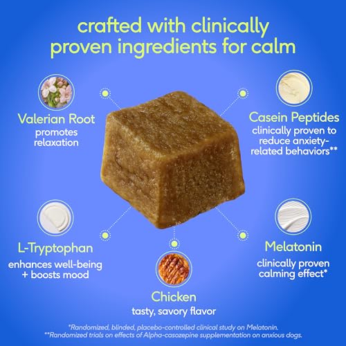 Advanced Calming Chews for Dogs (60 Count)
