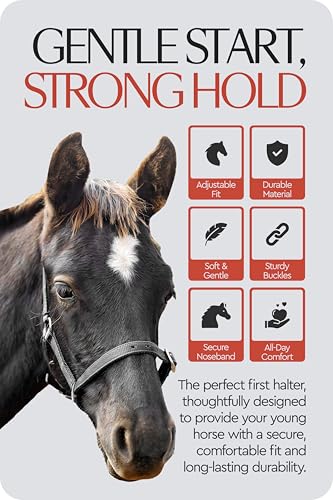 Adjustable Mini Horse Halter (Black / Foal)