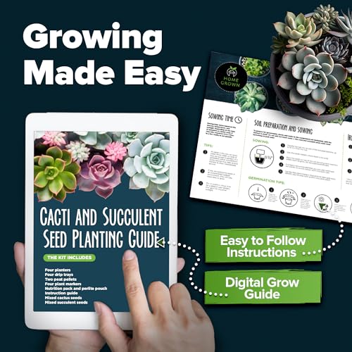 Succulent & Cactus Seed Starter Kit