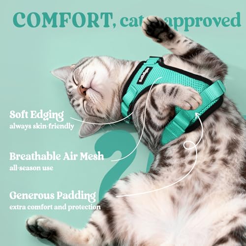 Cat Harness and Leash Set (Xs / Emerald)