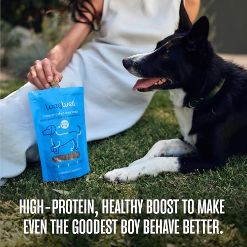 Freeze Dried Dog Treats (4 Ounce (Pack of 1))