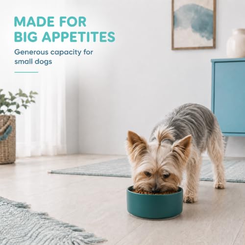 Ceramic Dog Bowls (Matte Dark Green)