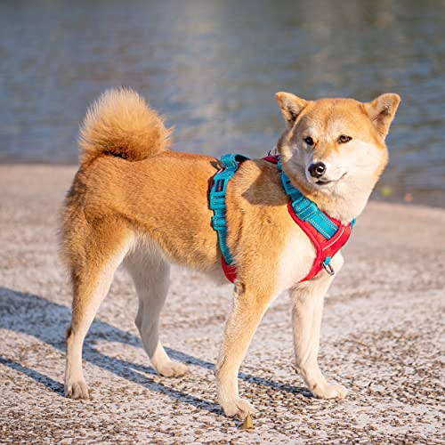 No Pull Dog Harness (Red Base & Teal Straps / Small)