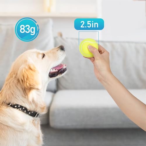 Tennis Balls for Dogs 3 Pack 2.5” (2.5" Squeaky / 3 Pack, Yellow)
