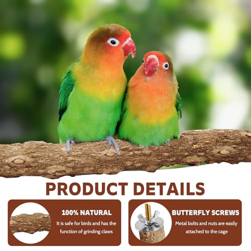 4PCS Bird Perch Natural Wooden Parrot Stand