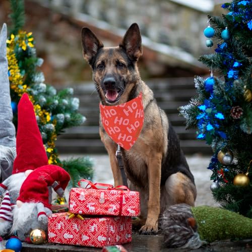 Christmas Dog Bandana (X-Large / Red and green)