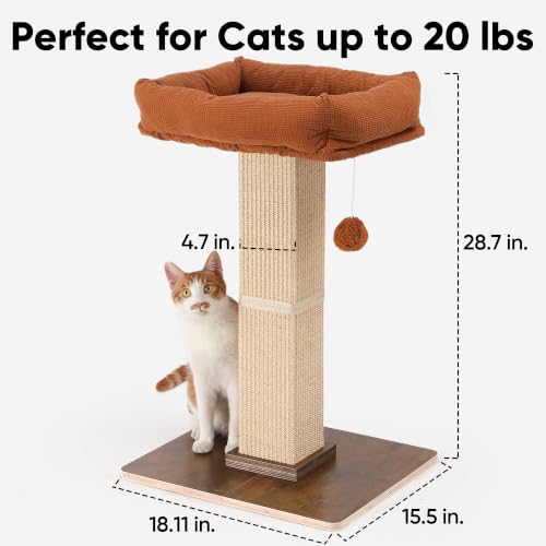 Retro Style Cat Scratching Post with Perch for Indoor Adult Cats (Brown)