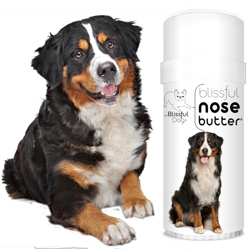 Bernese Mountain Nose Butter (Bernese Mountain Dog / 2.25 Ounce)
