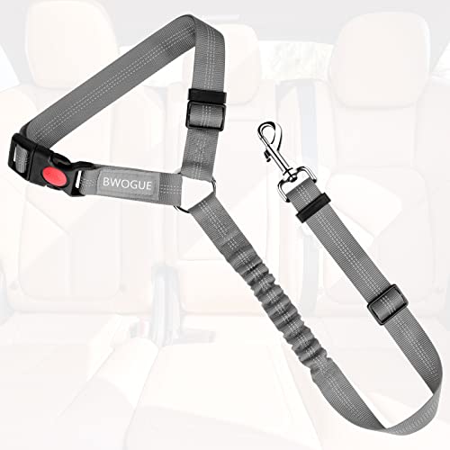 Dog Seat Belt for Car (Grey)
