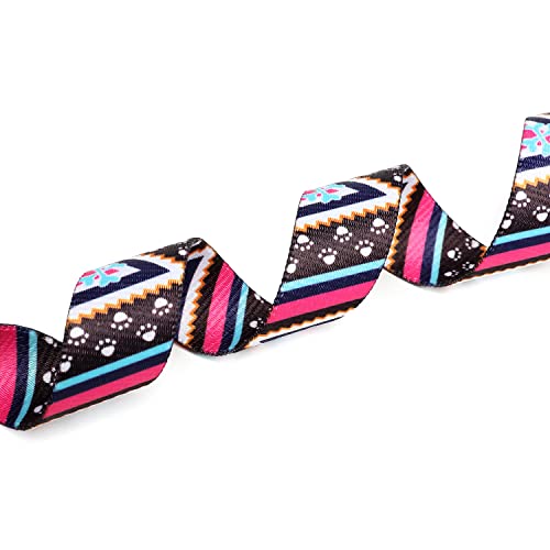 Adjustable Dog Collar (Medium / Ethnic Pink)