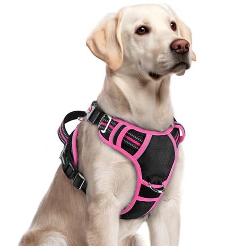 Dog Harness for Large (Black & Pink / Large)