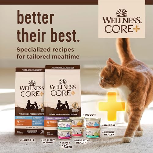 CORE+ Adult Dry Cat Food (5 Pound (Pack of 1))