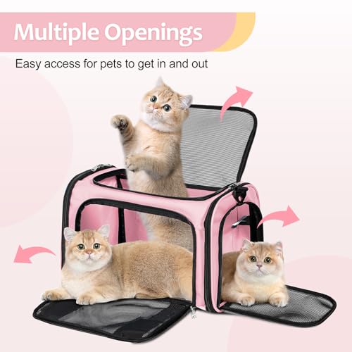 Cat Dog Carrier Up to 15 Lbs TSA Airline Approved Pet Carrier for Small Medium Cats Puppies Dog Carriers for Small Dogs Collapsible Soft Sided Cat Travel Carrier (15.8"L x 10.2"W x 10.2"H / Pink)