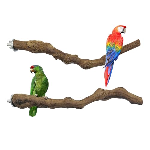 2 PCS Natural Grape Stick Fork Bird Perch Bird Standing Stick Chewing Bird Toys Natural Grapevine Bird Cage Perch for Parrot Cages Toy for Cockatiels (Style 11)