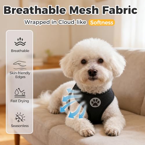 Small Dog Harness (L (NECK: 17", CHEST: 18.8"-24") / Pink)