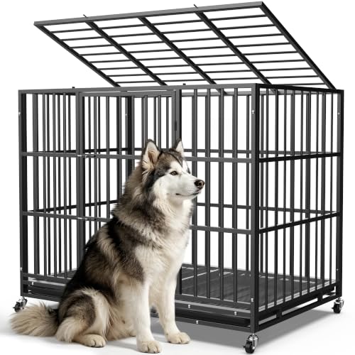 54 Inch Heavy Duty Dog Crate (Black / X-Large)