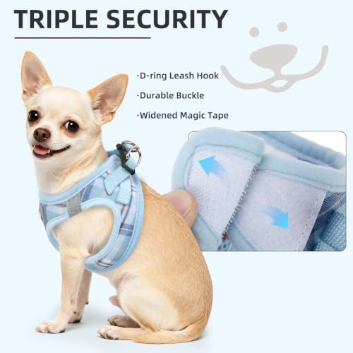 Dog Harness Collar and Leash Set No Pull for Small Medium Sized (Blue / XL (CHEST 20"-22"))