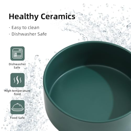 Dog Bowls Elevated (Matte Dark Green)