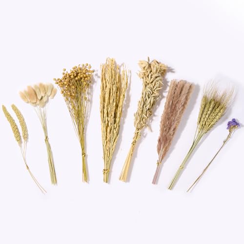 60PCS Natural Hamster Bedding (60pcs)