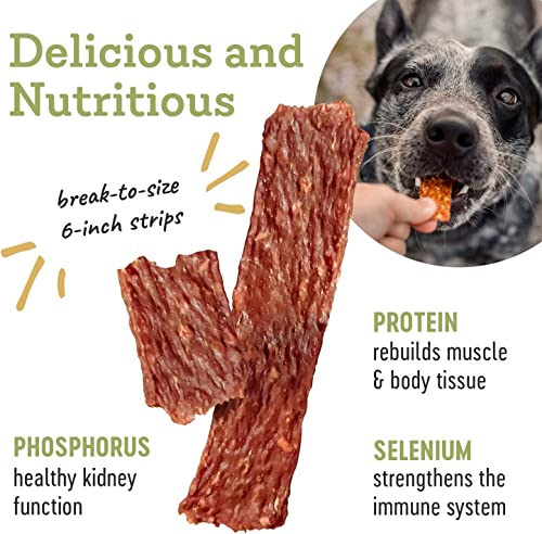 Duck Strips Premium Natural Jerky for Dogs (4.5 Ounce (Pack of 2))